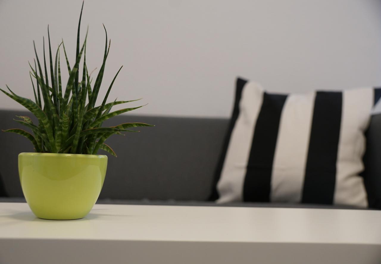 Seven Apartment Ringsheim